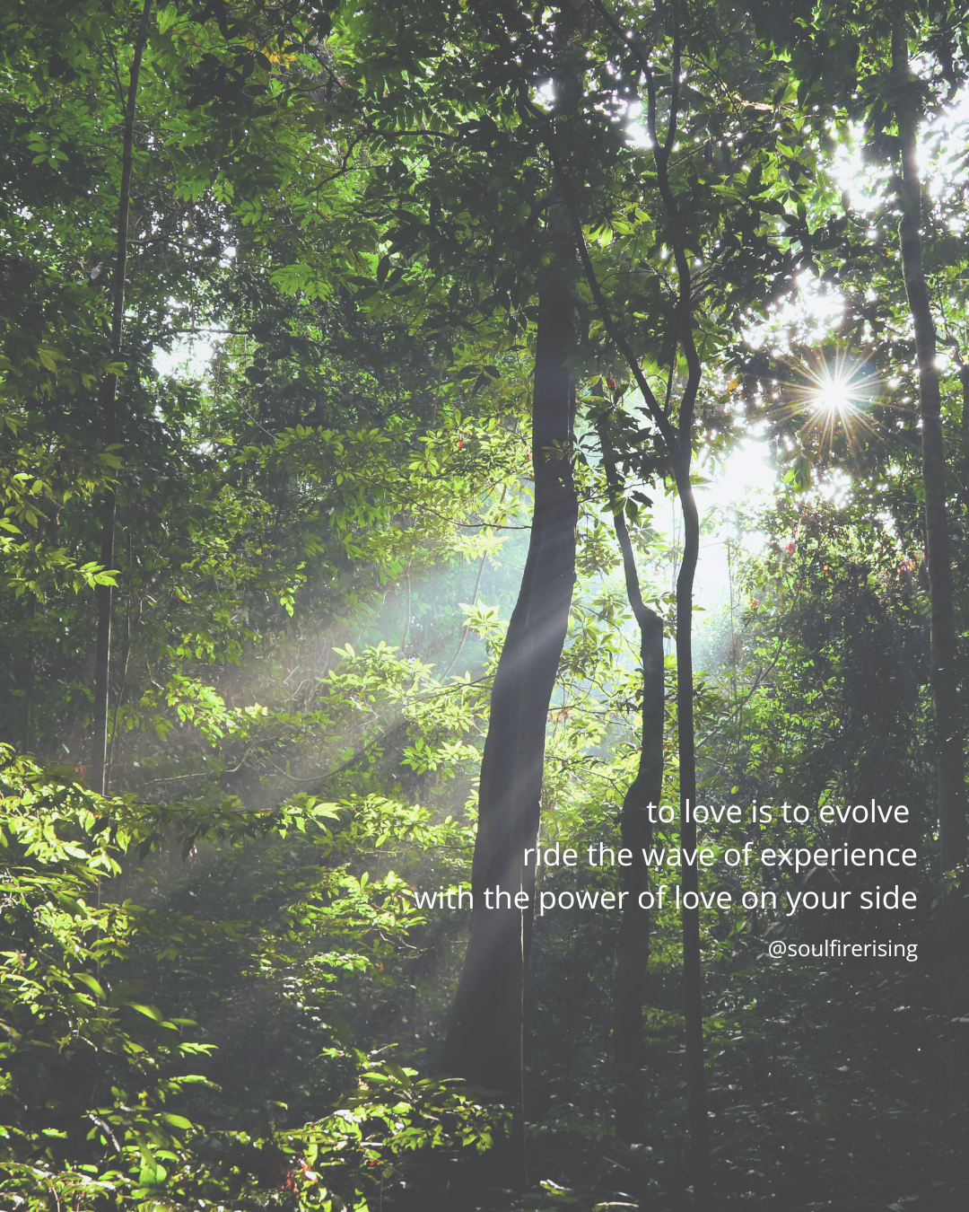 On Love and Riding The Waves of Life