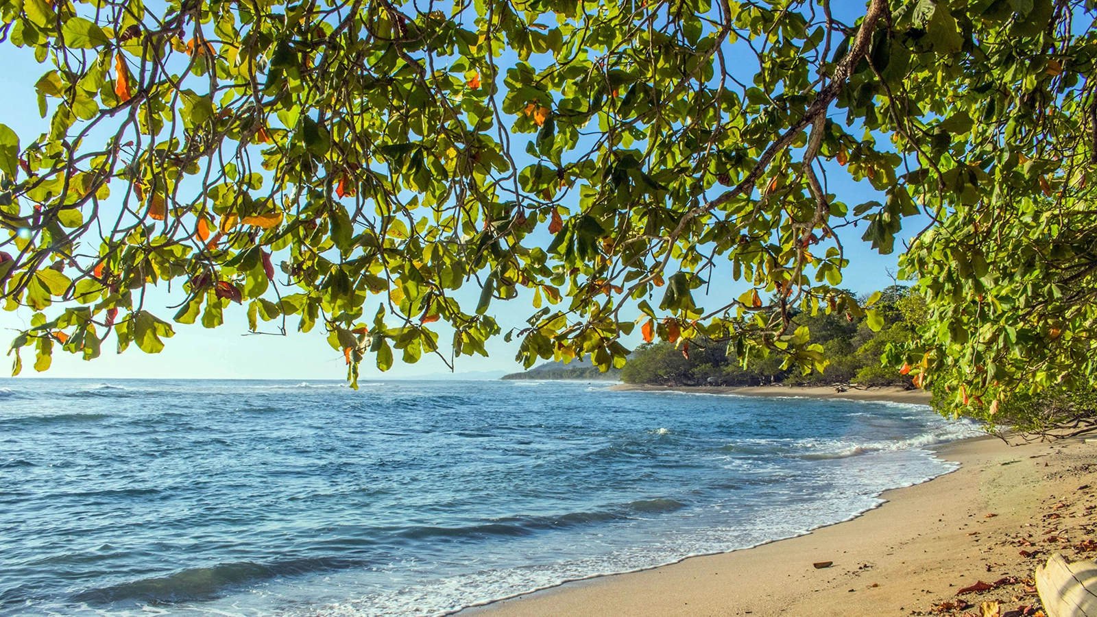 Autumn: Balance & Release in Nicoya, Costa Rica